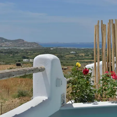 Naxian Album Kleio With Private Pool, * Glinado Naxos